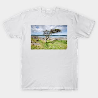 Loch Na Keal T-Shirt